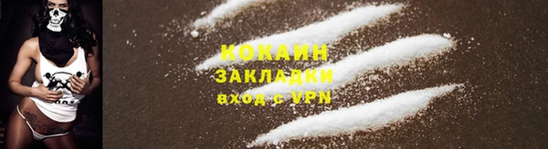 трава Бородино
