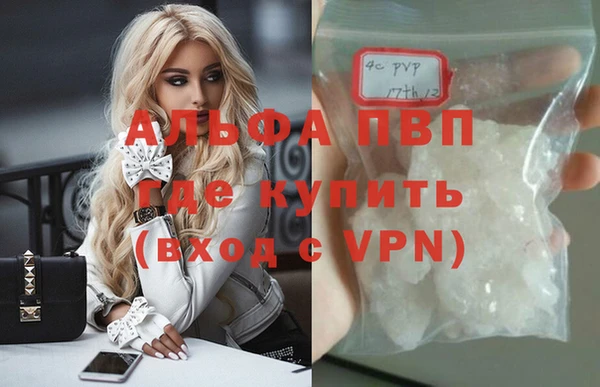стаф Богородицк