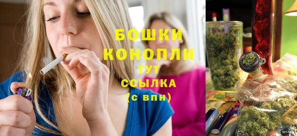 твердый Богородск