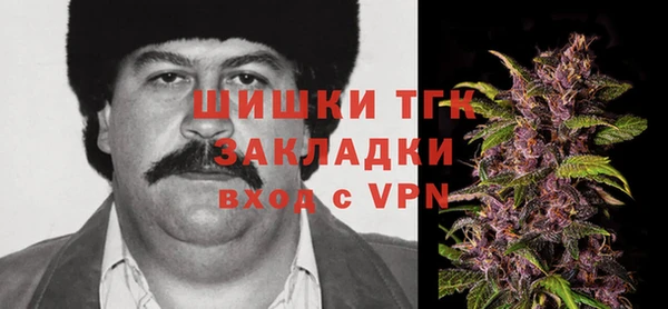 стаф Богородицк