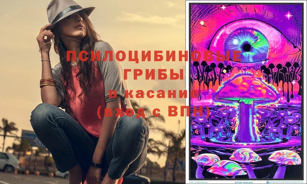 твердый Богородск